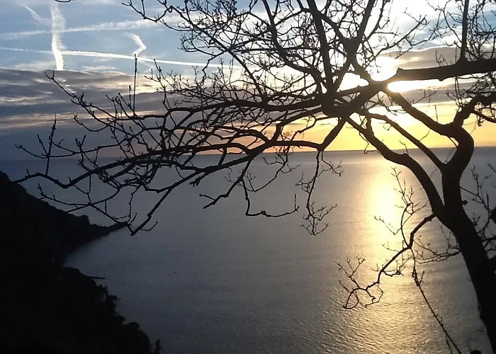 Bbq Bed & Breakfast Camogli