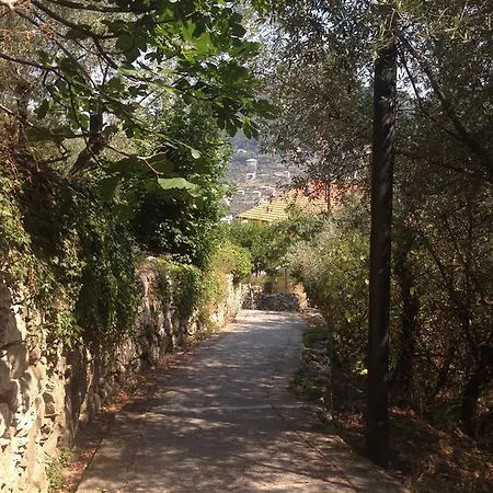 Bbq Oda ve Kahvaltı