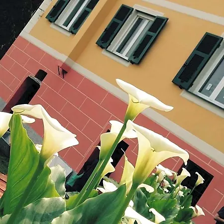 Bbq Couette-café Camogli