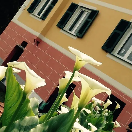 Bbq 3* Camogli